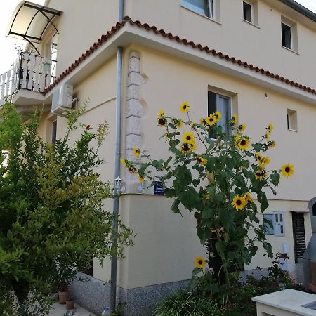 Apartments Martina Banjole Dış mekan fotoğraf